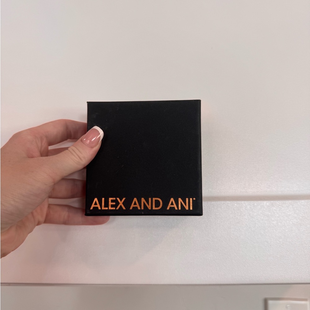 Alex and Ani Silver Charm Bracelet Duo